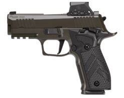 SIG SAUER | P226-XCarry Legion | 9mm | Legion Gray