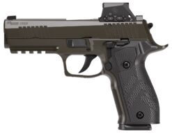 SIG SAUER | P226X Legion RXSL | 9mm | Legion Gray