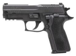 SIG SAUER OFF-DUTY | P229 Elite | 9mm | Nitron
