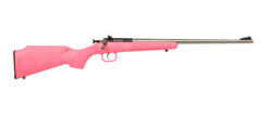 Keystone Sporting Arms | Crickett | 22 LR | Stainless