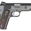 Springfield Armory | Garrison | 9mm | Blued