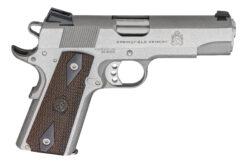 Springfield Armory | Garrison | 9mm | Stainless