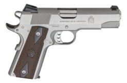 Springfield Armory | Garrison | 9mm | Stainless