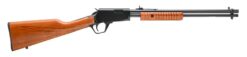 Rossi | Rossi Gallery | 22 LR | Blued