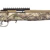 Ruger | American Rifle | 22 Magnum | Bronze Cerakote
