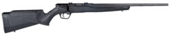 Savage Arms | B22MAGF | 22 Magnum | Matte Blue