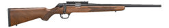 Springfield Armory | 2020 Rimfire Classic | 22 LR | Matte Blued