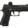 SIG SAUER OFF-DUTY | P320 Carry Pro | 9mm | Nitron