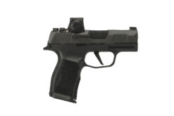 SIG SAUER OFF-DUTY | P365X | 9mm | Nitron