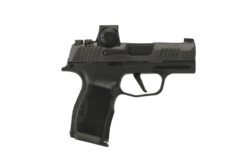 SIG SAUER OFF-DUTY | P365X | 9mm | Nitron