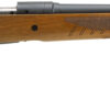 Savage Arms | 110 Classic | 7mm Rem Mag | Matte Black