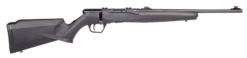 Savage Arms | B22F Compact | 22 LR | Matte Blue