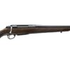 Tikka | T3X Hunter | 243 Win | Black Steel
