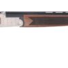 TriStar Sporting Arms | Setter S/T | 20 Gauge | Blued