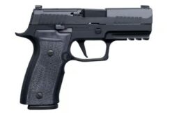 SIG SAUER OFF-DUTY | P320 AXG | 9mm | Nitron