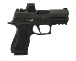 SIG SAUER OFF-DUTY | P320 Pro | 9mm | Nitron