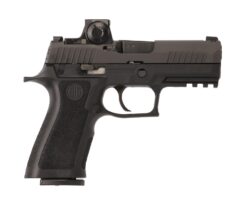 SIG SAUER OFF-DUTY | P320 Carry Pro | 40 S&W | Nitron