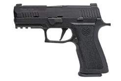 SIG SAUER OFF-DUTY | P320 Carry Pro | 9mm | Nitron