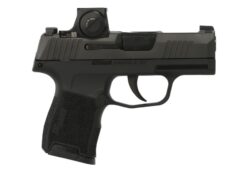 SIG SAUER OFF-DUTY | P365 | 9mm | Nitron®