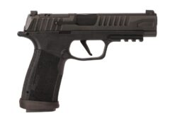 SIG SAUER OFF-DUTY | P365 | 9mm | Nitron