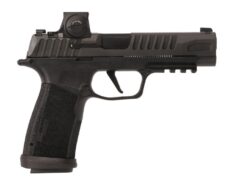 SIG SAUER OFF-DUTY | P365 | 9mm | Black