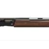 Winchester | SX4 Field | 20 Gauge | Matte Black