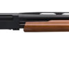 Winchester | SXP Field | 12 Gauge | Blued