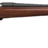 Winchester | XPR | 300 Win Mag | Matte Blue