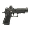 SIG SAUER OFF-DUTY | P320 Full | 40 S&W | Nitron