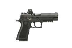SIG SAUER OFF-DUTY | P320 Full | 40 S&W | Nitron