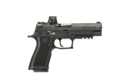 SIG SAUER OFF-DUTY | P320 Full | 40 S&W | Nitron